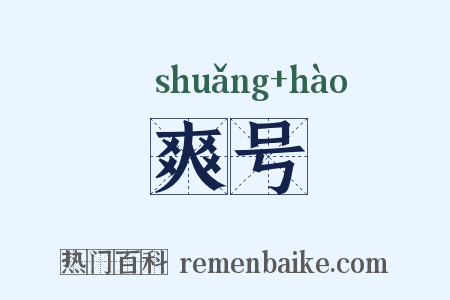 爽号是什么意思的图片